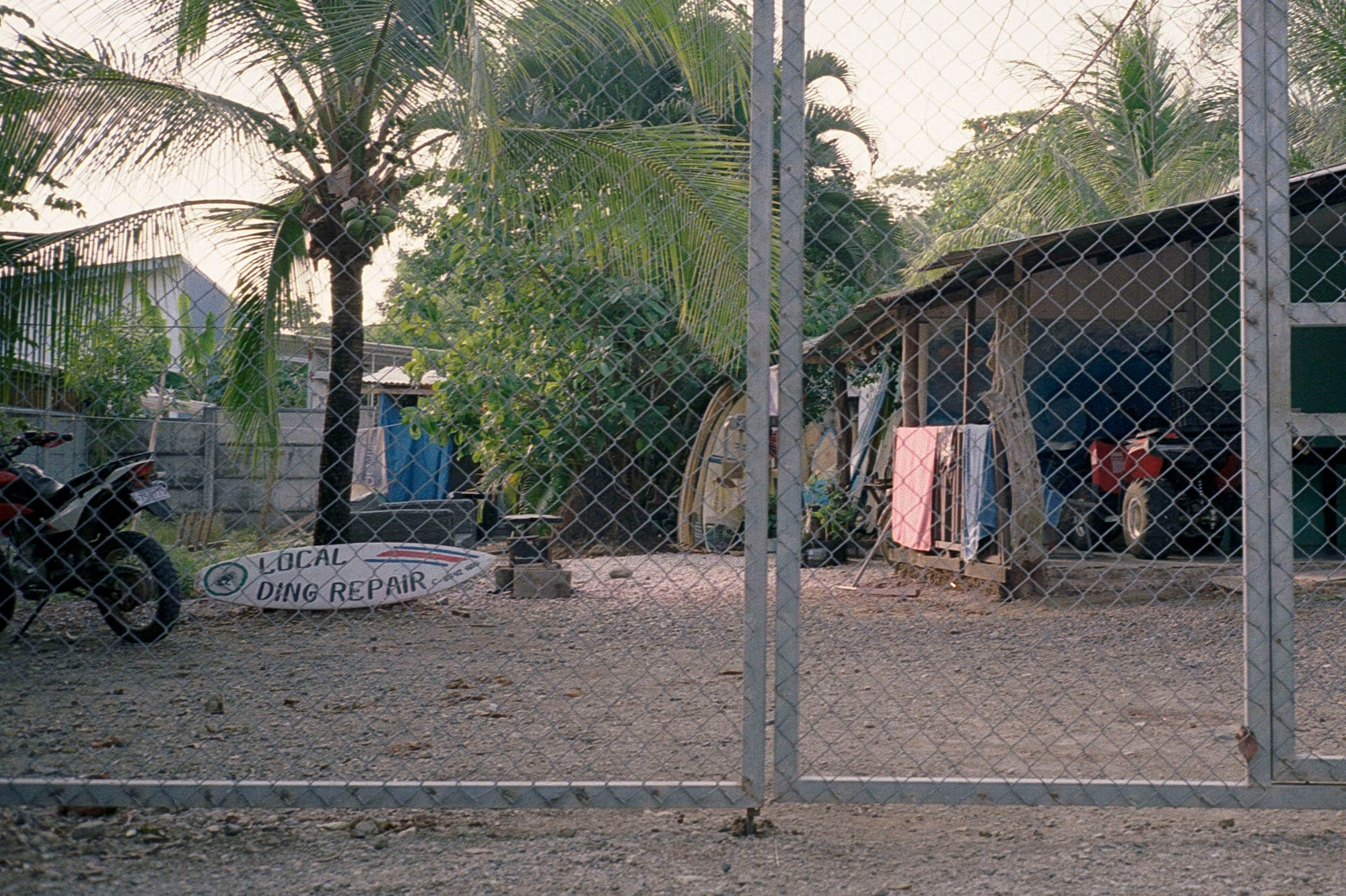 Costa_Rica_lores_039